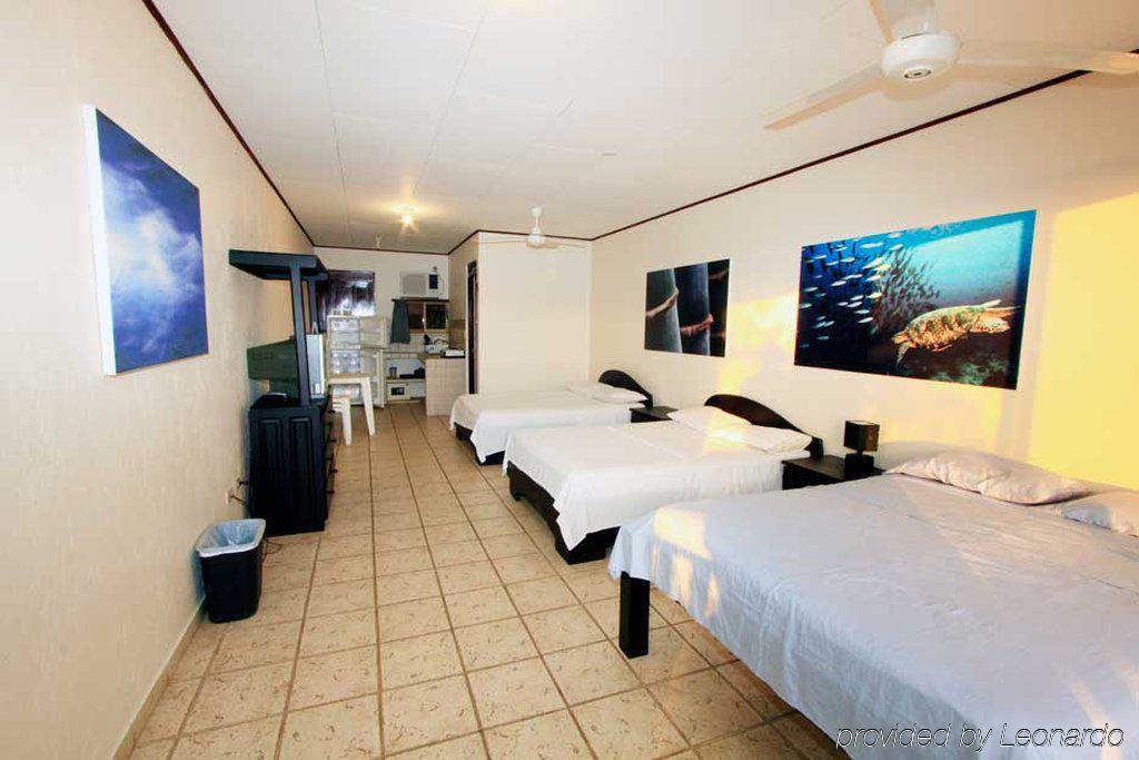 Blue Palm Hotel Jacó Rum bild